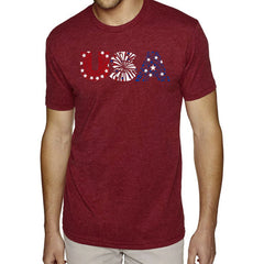 LA Pop Art Men's Premium Blend Word Art T-Shirt - USA Fireworks