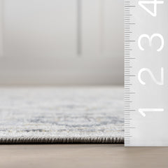 Nuloom Cady SpinClean Machine Washable Transitional Area Rug