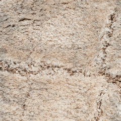 Nourison Luxurious Shag Ultra Plush Glam Abstract Area Rug