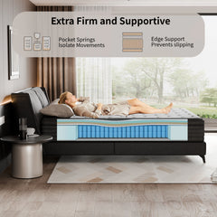 Modland 14" Extra Firm Cooling Gel Hybrid Mattress for Back Pain Relief in a Box, Twin/Full/Queen/King/CALKing Size