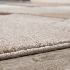 Modern Checkered Area Rug with Contour Cut